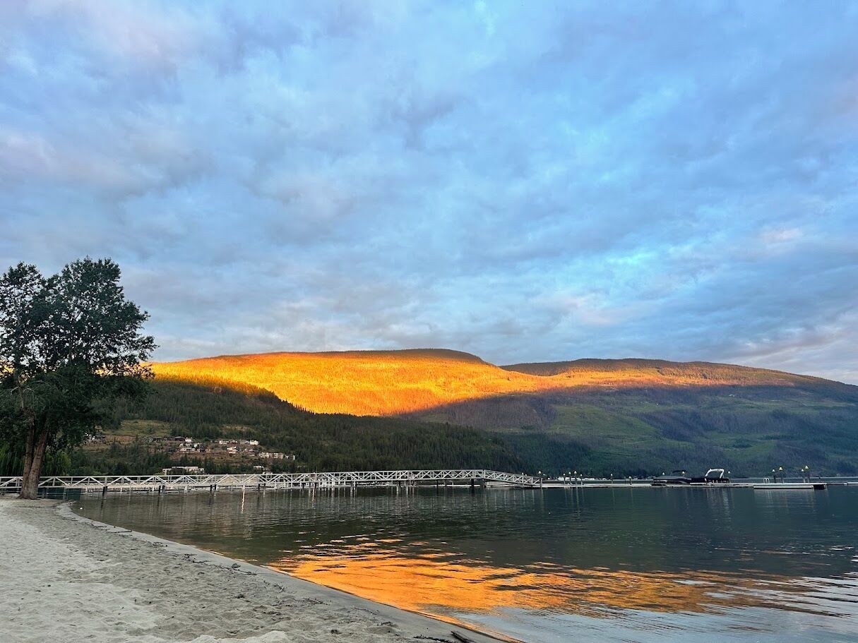 Serviettes de plage