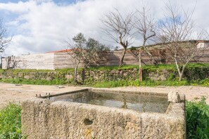 Property grounds - Quinta dos Chãos - Laranjal (Paredes)