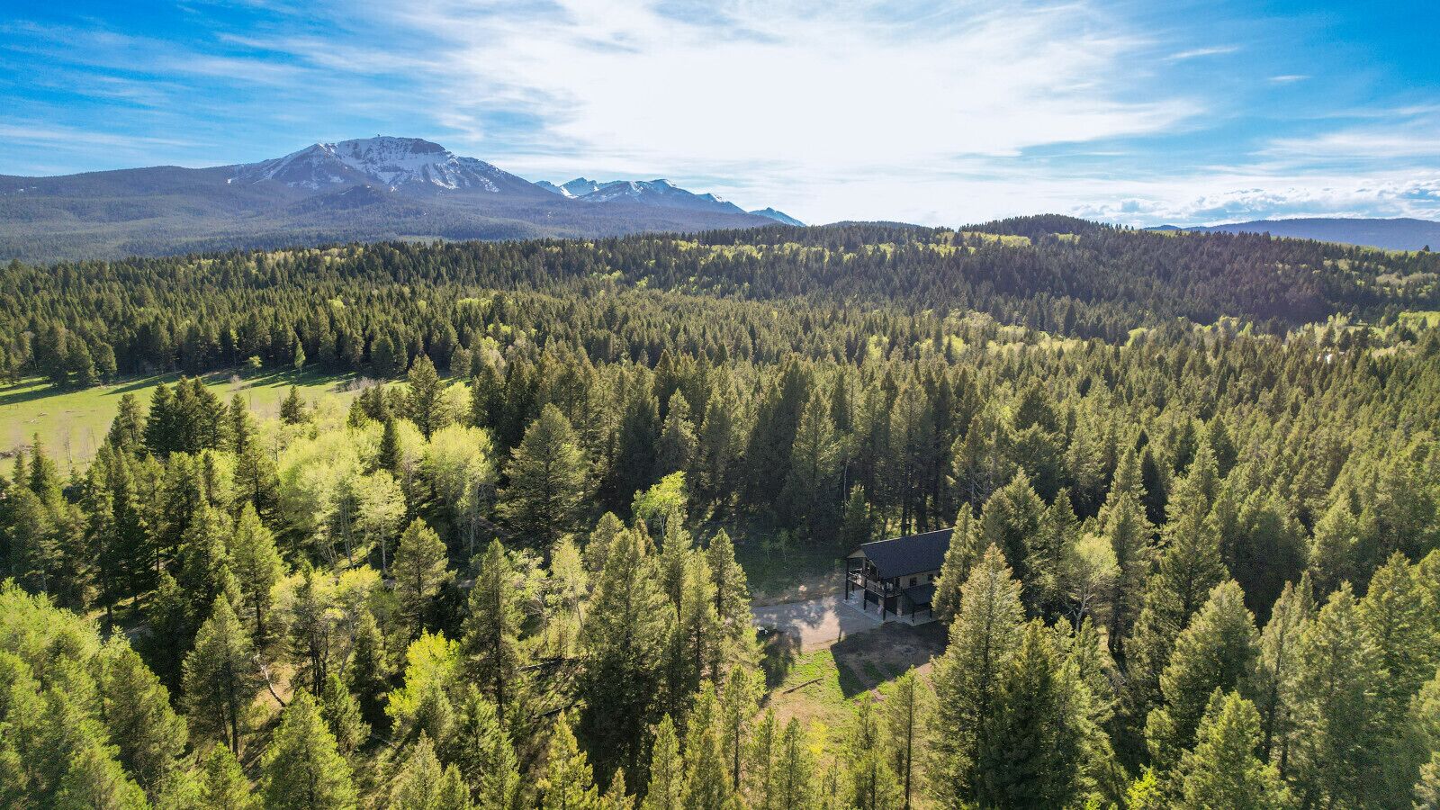 A forested area with a cabin and a mountain in the background.