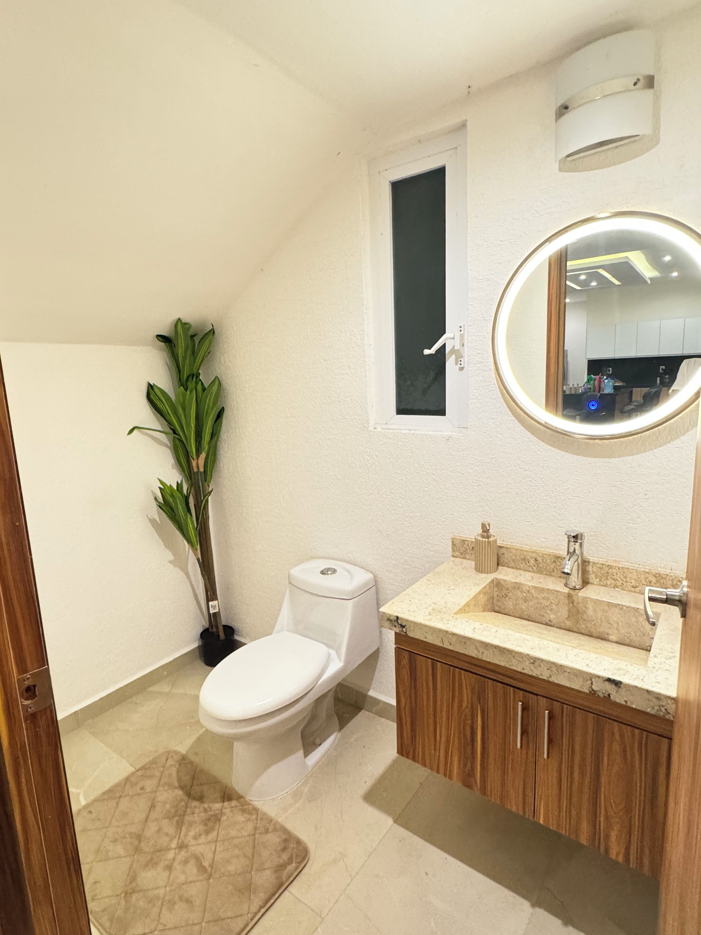 A bathroom with a toilet, sink, mirror, and a potted plant.