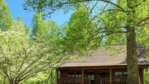 Een houten chalet met terras, omgeven door bomen.