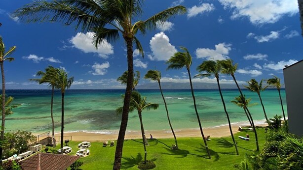 A tropical beach view with palm trees, a clear sky, and a calm sea. - OCEANFRONT with Private Beach! Hale Mahina A206 (Lahaina)