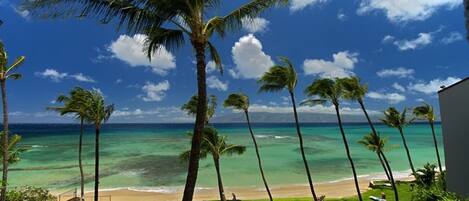 Plage, chaises longues, serviettes de plage