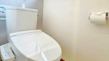 Hair dryer, bidet, towels, toilet paper