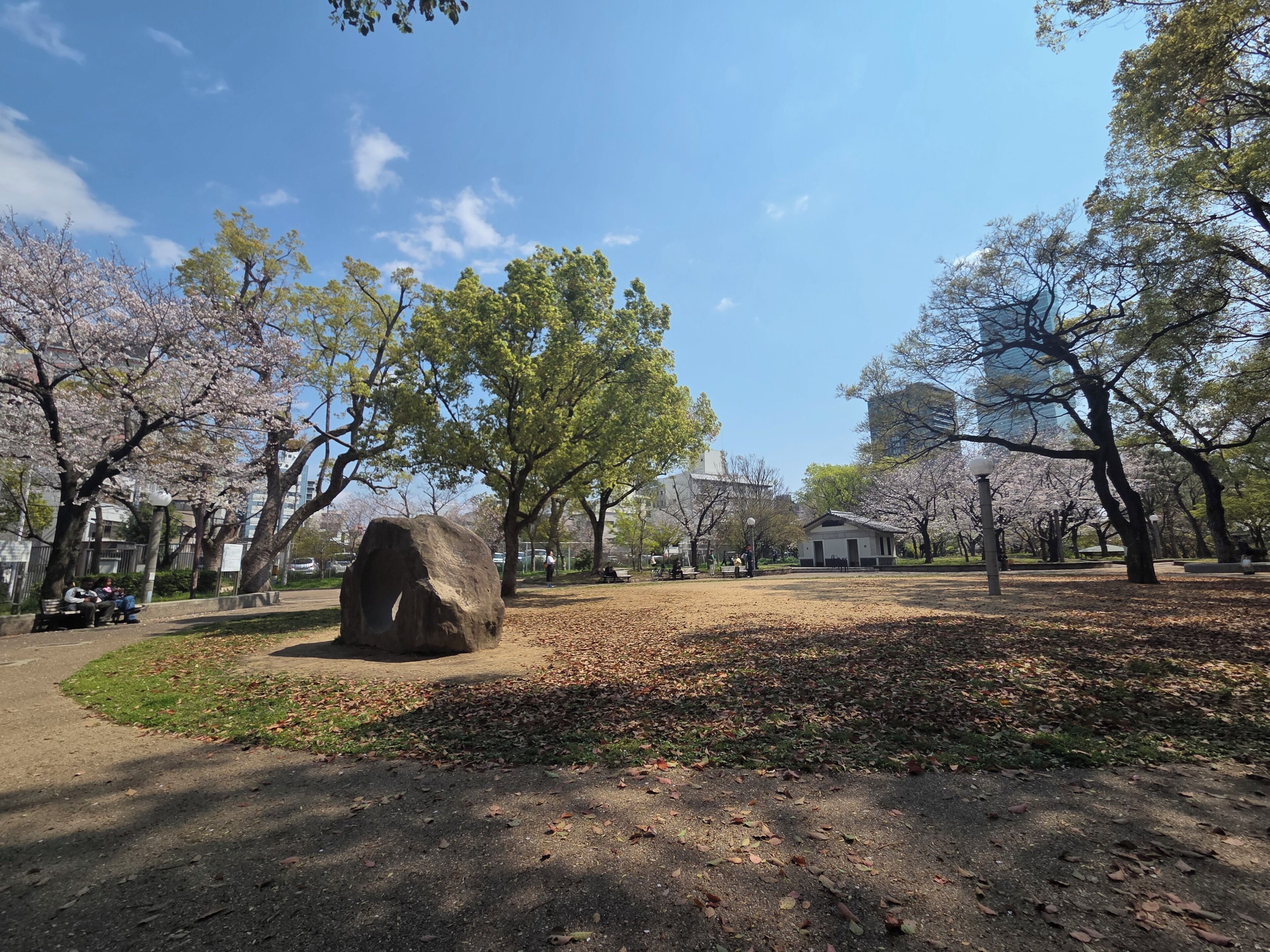 A park with cherry blossoms, a large rock, and a building in the background.