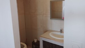 A small bathroom with a toilet, a sink, and a mirror. - Charming room in St Philippe, between the sea and the mountains, close to the GRR2 footpaths. (Saint-Philippe)