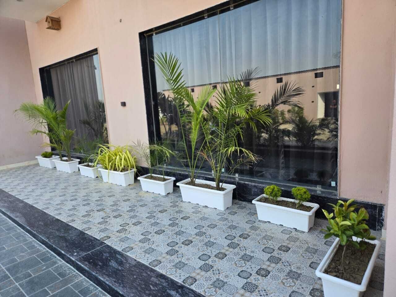 A building exterior with large windows, potted plants, and a patterned floor.