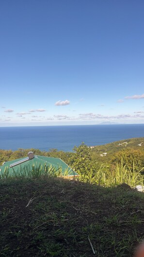 Oklassificerad bild, 2 av 16, knapp