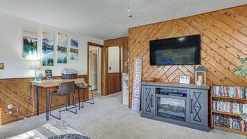 TV, fireplace, books