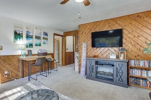 TV, fireplace, books
