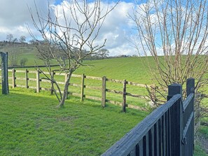 Ein Holzzaun, ein grasbewachsenes Feld und kahlbäumige Bäume.