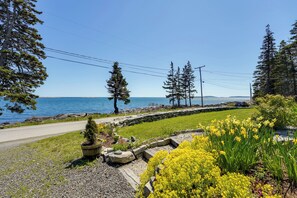 A coastal road with a stone pathway, yellow flowers, and evergreen trees. - < 1 Mi to Port Clyde Village: Modern Retreat (St. George)