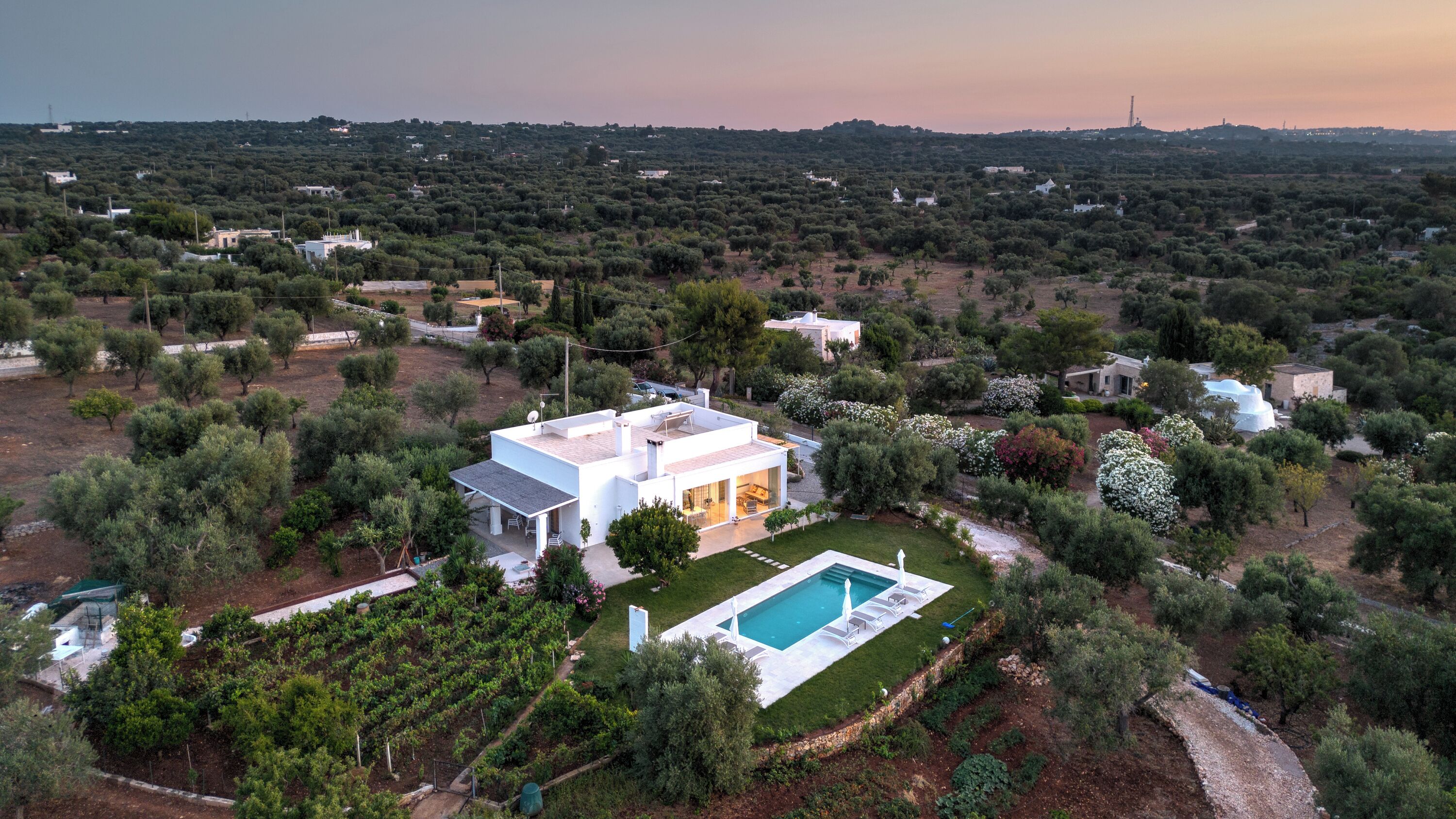 Eine moderne Villa mit Swimmingpool, umgeben von üppiger Vegetation und Olivenbäumen.