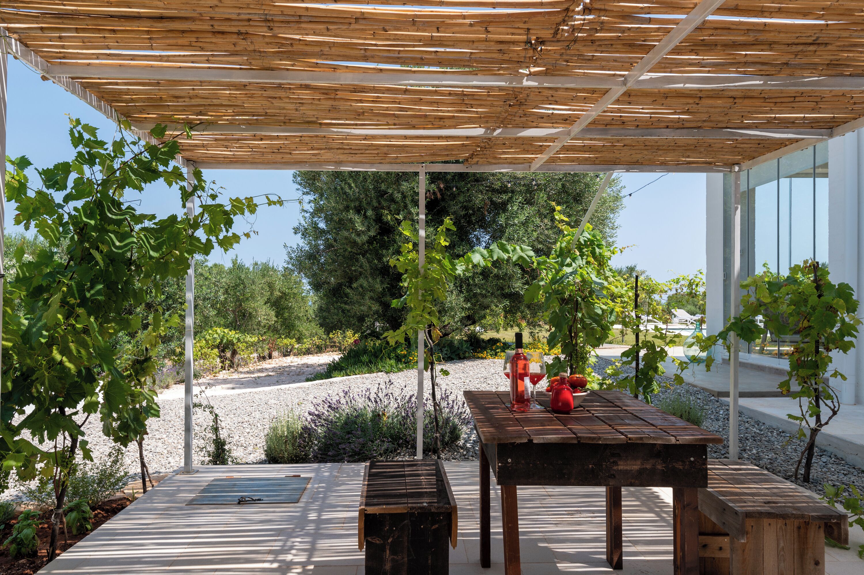 Un patio al aire libre con mesa y bancos de madera, rodeado de follaje y una pérgola.
