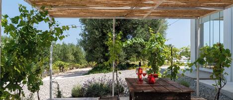 Un patio al aire libre con mesa y bancos de madera, rodeado de follaje y una pérgola.