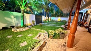 A well-maintained garden with a stone pathway, palm trees, and potted plants. - Devon Surf Inn : Standard Double Room (Dikwella)