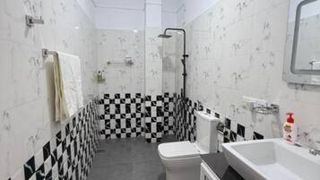 Shower, hair dryer, bidet, towels