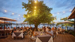 Un espace de restauration en plein air, avec des tables et des parasols, entouré d’arbres et illuminé de guirlandes lumineuses.
