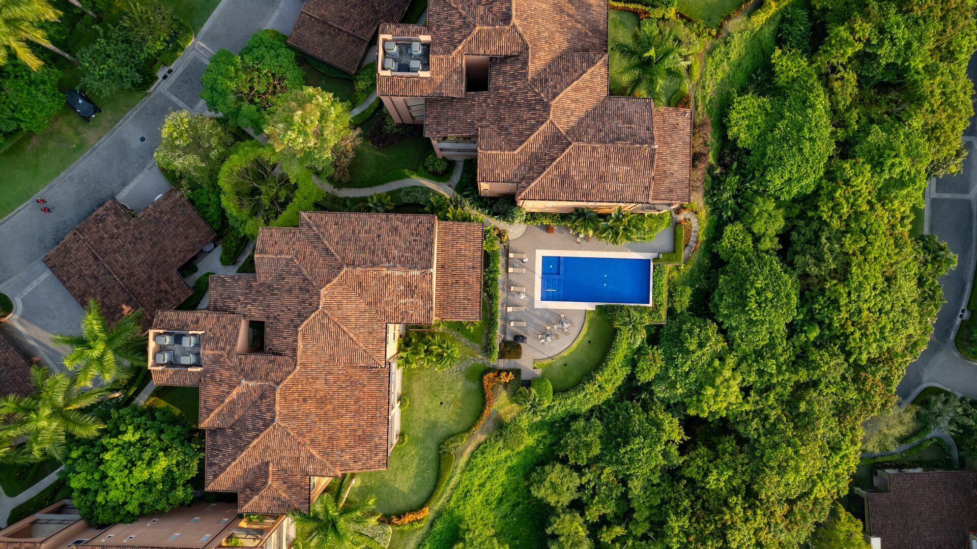 Un barrio residencial con varias casas, una piscina y abundante vegetación.