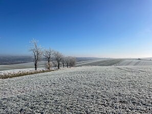 Nicht klassifiziertes Bild, 4 von 20, Schaltfläche