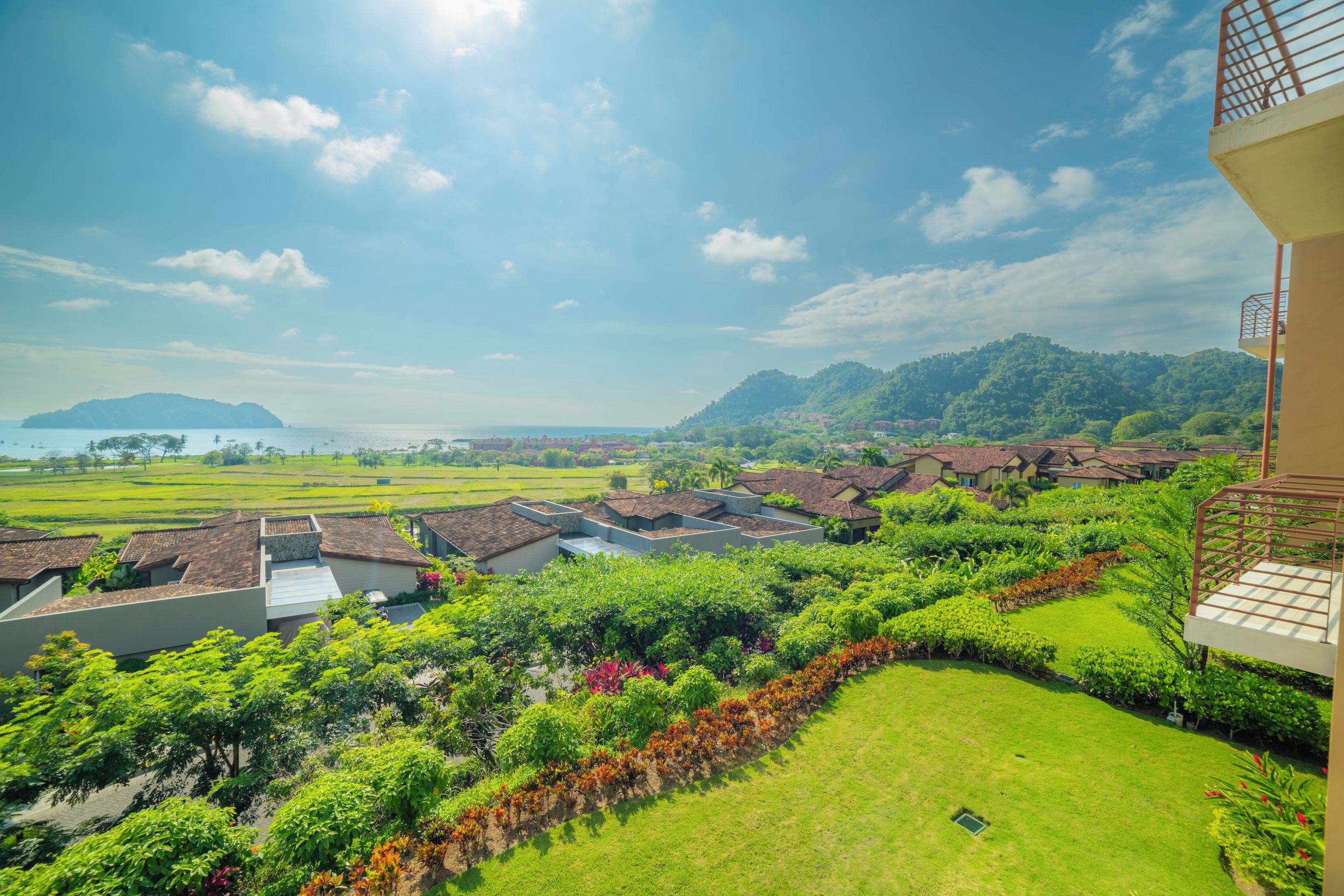 A residential area with houses, lush greenery, and a distant view of a body of water.