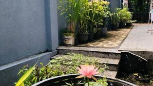 Un callejón estrecho con plantas en macetas y una fuente con un nenúfar rosa.