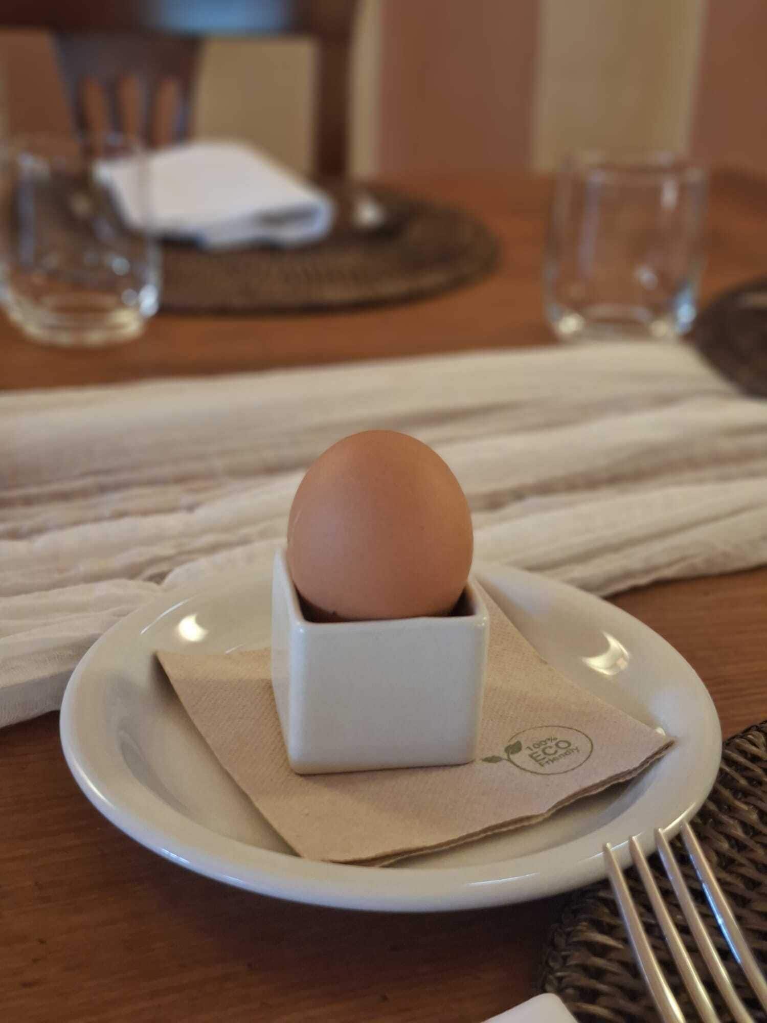 Un portauova bianco in ceramica con un singolo uovo marrone su un piatto bianco, insieme a un tovagliolo e una forchetta.