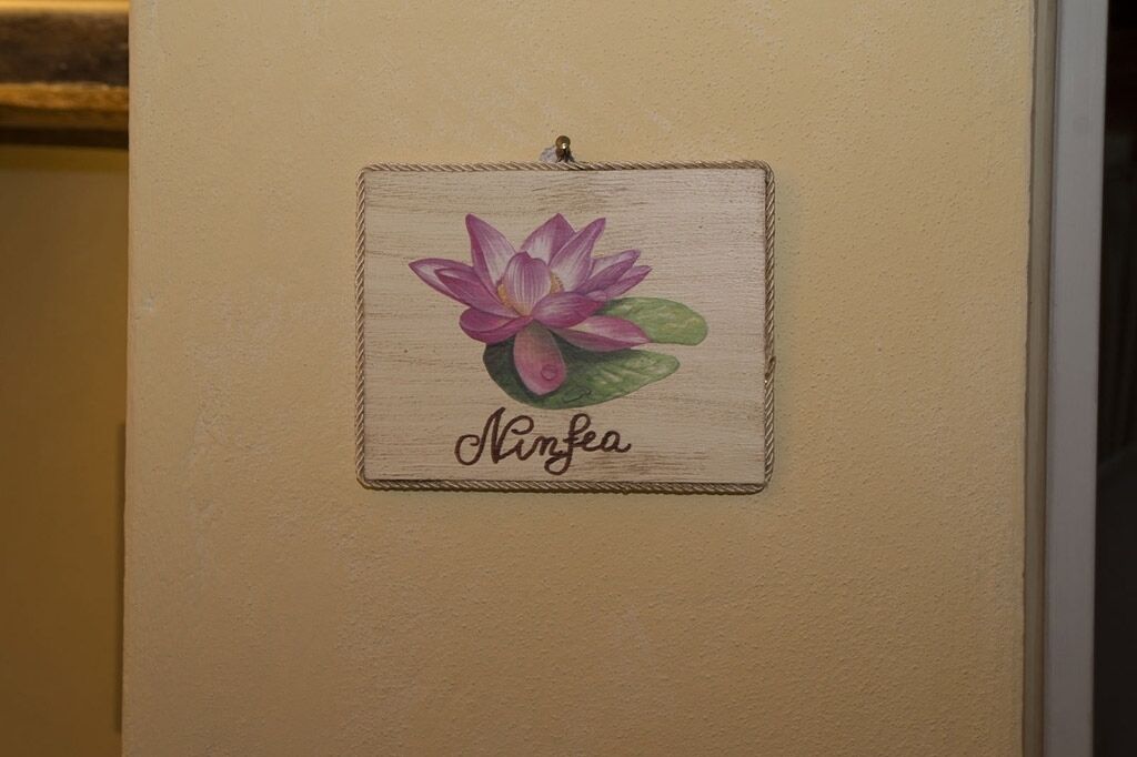 Caja de seguridad en la habitación y wifi gratis 