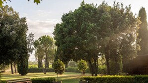Een park met een bankje, bomen en een grindpad.