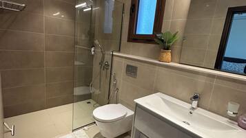 Shower, hair dryer, bidet, towels