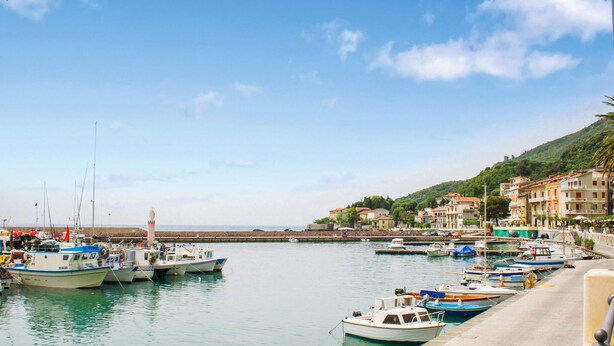Un puerto deportivo con barcos amarrados, un paseo marítimo y edificios en una ladera.