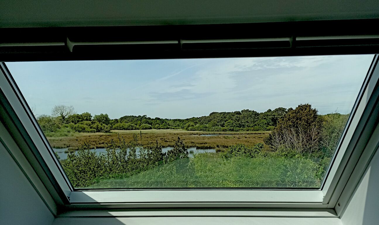 Een dakraam met uitzicht op een natuurlandschap, inclusief water en weelderige begroeiing.