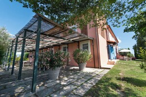 Un espace extérieur abrité, doté d’une pergola, de plantes en pot et d’un bâtiment en briques avec une porte bleue.