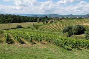 Luokittelematon kuva, 3 kautta 29, painike