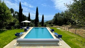 Ein rechteckiger Pool mit glasklarer, blauer Wasserfläche, umgeben von einer gepflasterten Terrasse und einer Rasenfläche.
