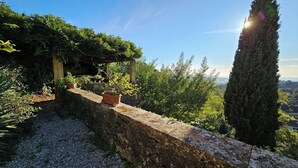 Eine steinerne Stützmauer mit Topfpflanzen, einer Pergola und einer hoch aufragenden Zypresse.