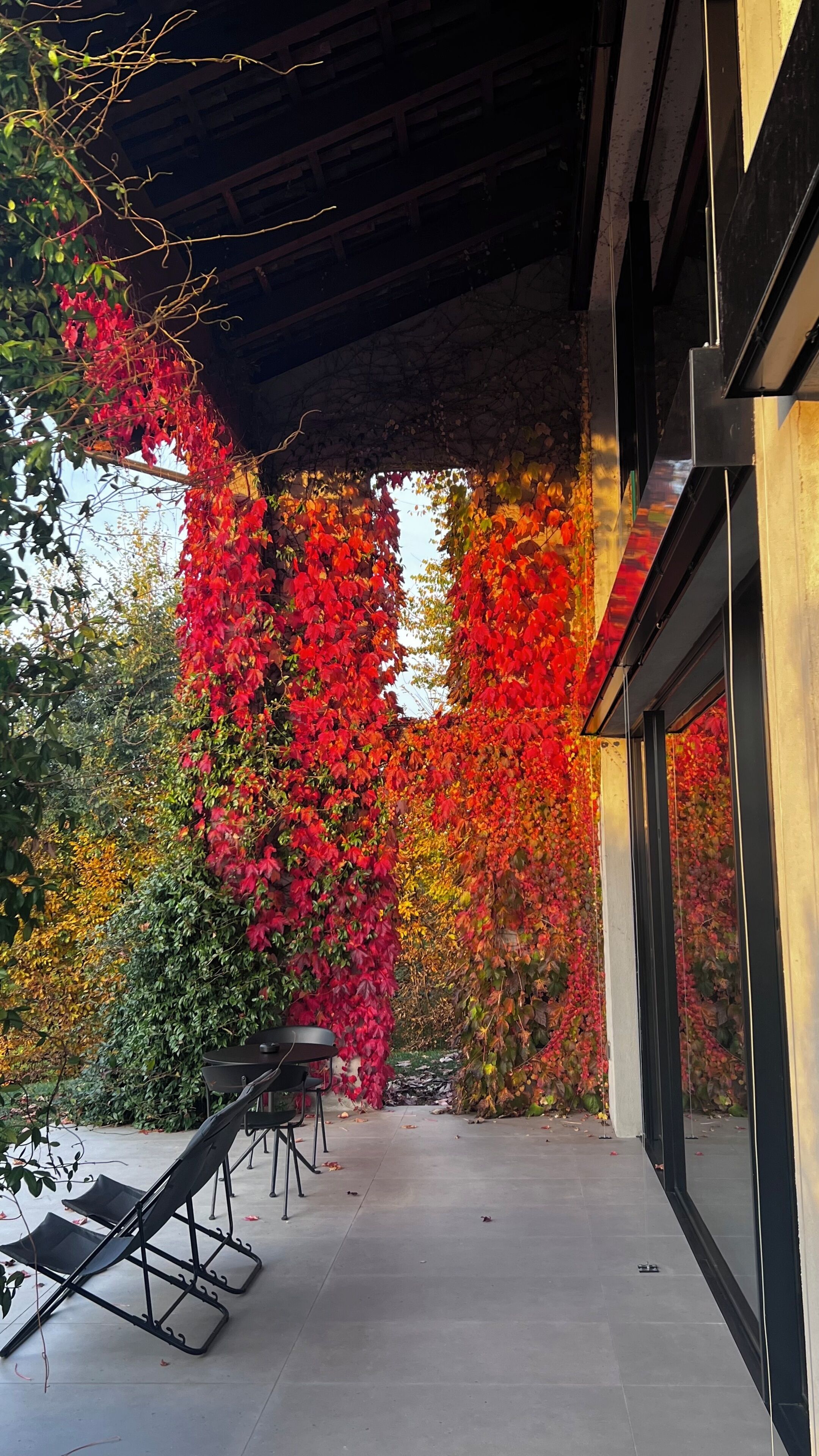 A covered outdoor area with a table and chairs, surrounded by walls covered in red foliage.