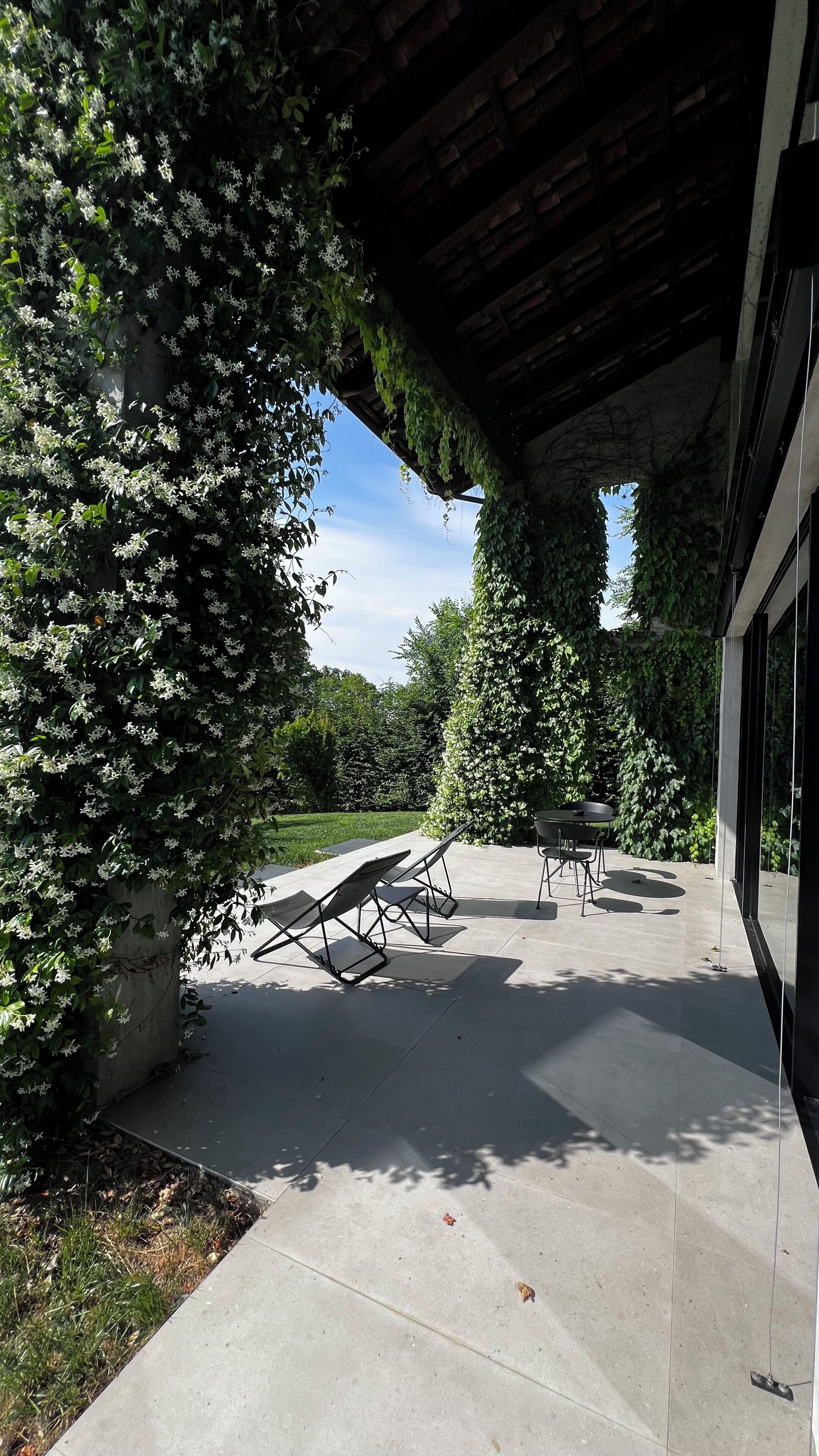 An outdoor patio area with a concrete floor, a covered seating area with chairs, and a large tree with white flowers.