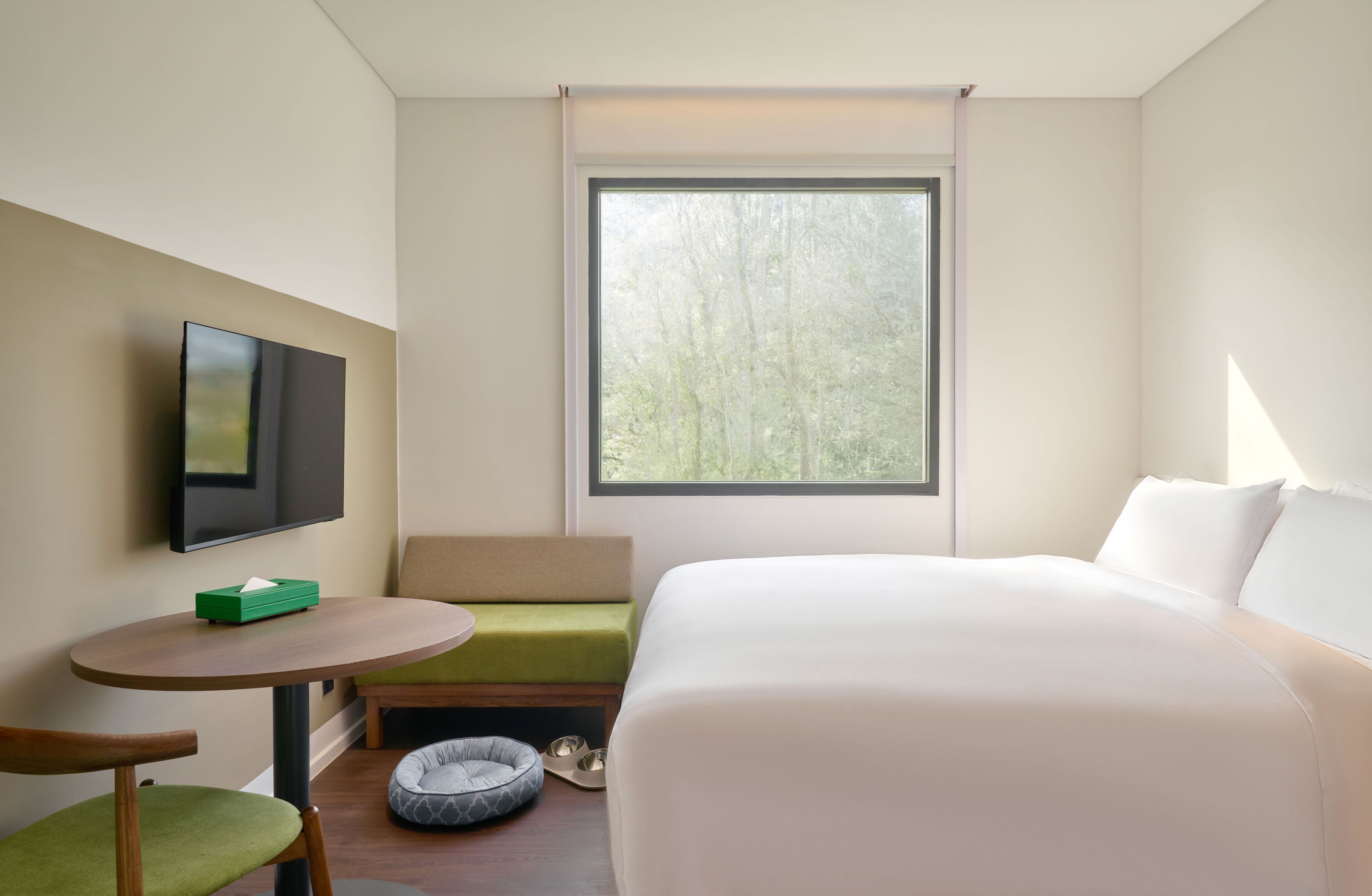Une chambre d’hôtel avec un lit, une télévision, une petite table, un banc et une fenêtre donnant sur des arbres.