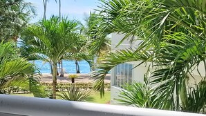 Un balcón con vista a una playa y palmeras.