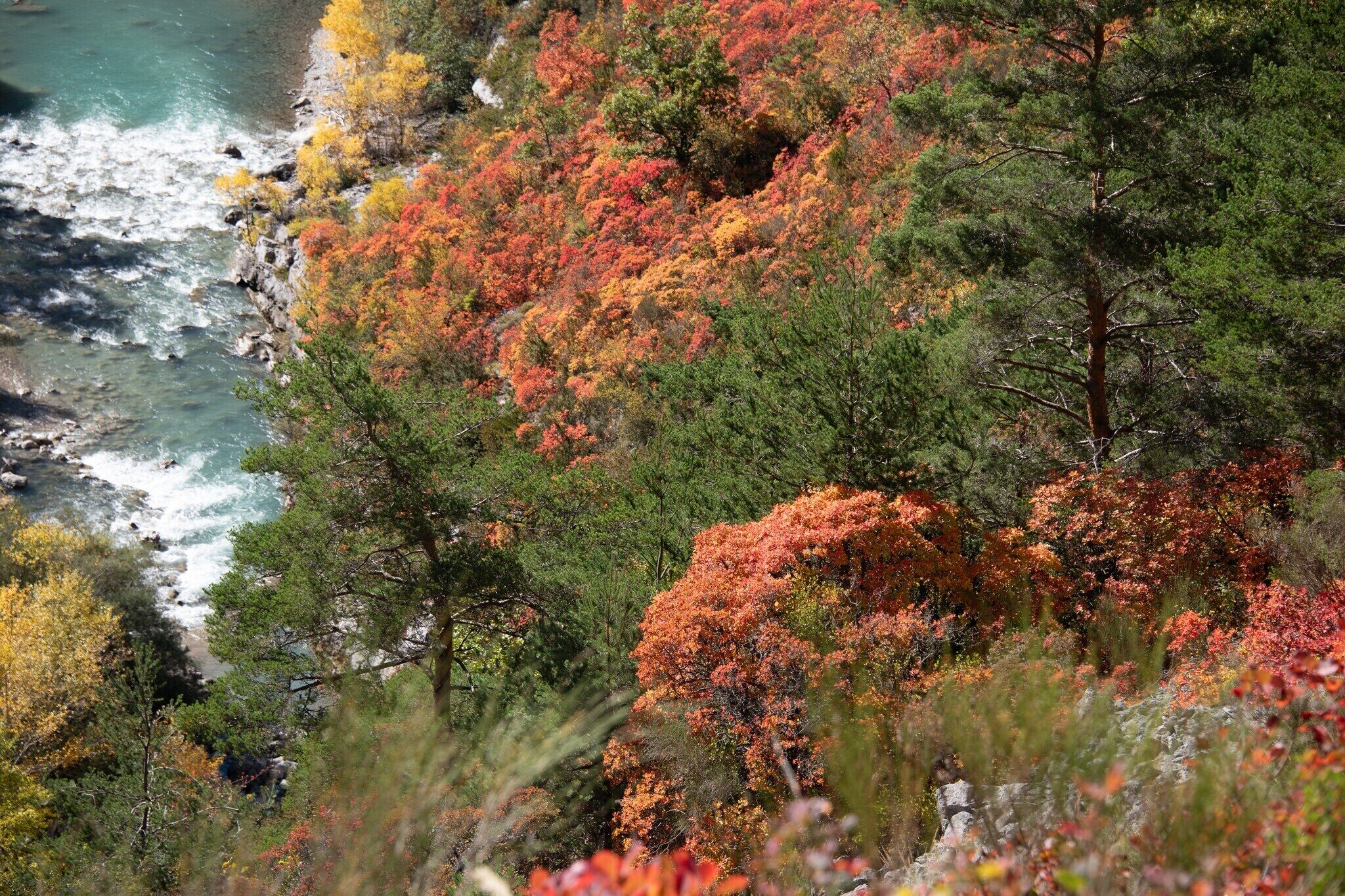 A mountainous landscape with a river, autumn-colored trees, and a clear view of the water.