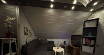 Apartment Bjarmaland