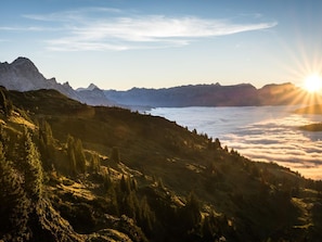 Nicht klassifiziertes Bild, 4 von 11, Schaltfläche