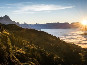 Nicht klassifiziertes Bild, 4 von 12, Schaltfläche