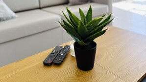 Una sala de estar moderna con un sofá blanco, una pequeña planta en maceta sobre una mesa de centro de madera y dos controles remotos.