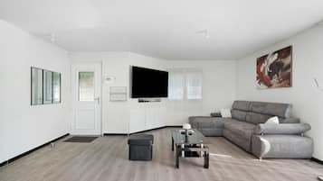 TV, fireplace, table tennis