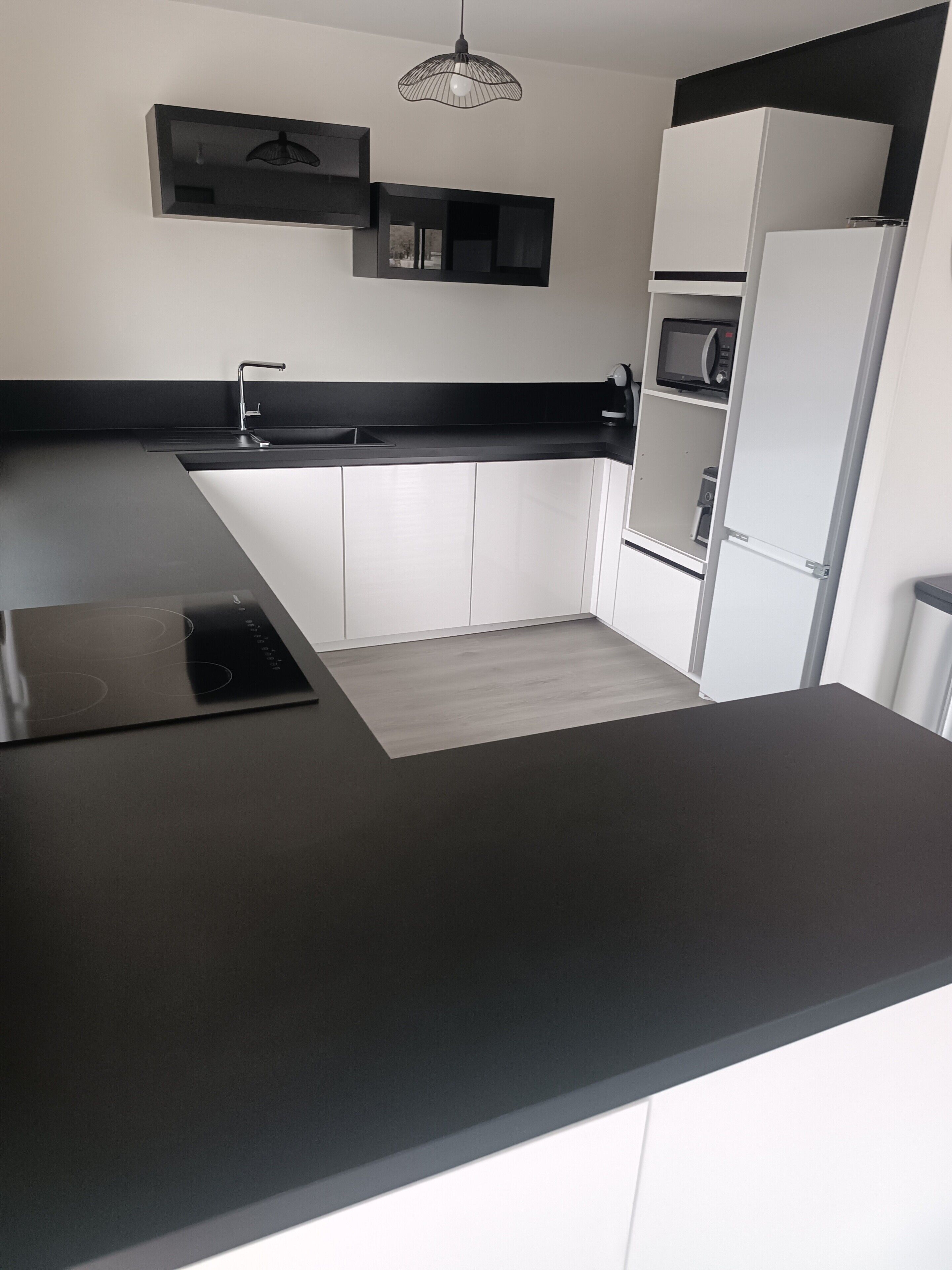 Kühlschrank, Mikrowelle, Herdplatte, Geschirrspüler