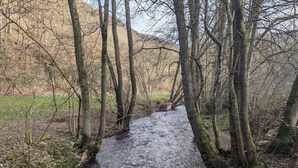 Un petit ruisseau serpente à travers une zone boisée, bordée d’arbres de chaque côté.