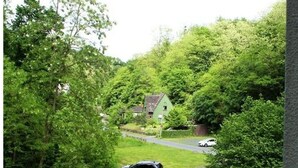 Une allée bordée de voitures garées mène à une maison entourée d’une végétation luxuriante.