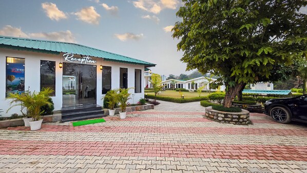 Ảnh chưa phân loại, 1 trong số 36 ảnh, nút